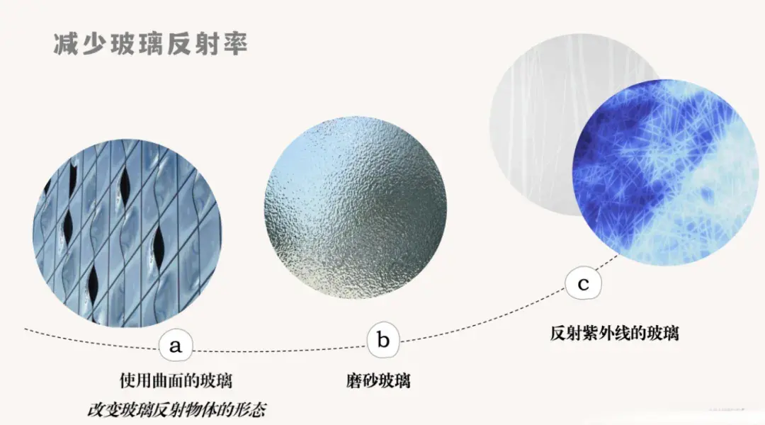 防止“鸟撞” 我们能做些什么？