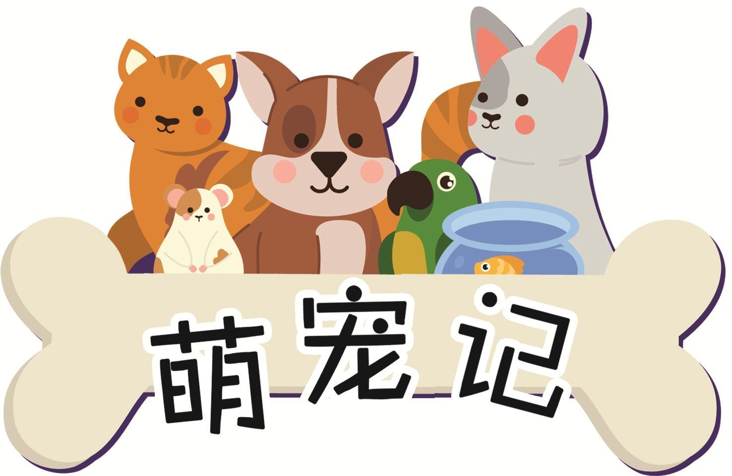 微笑的萨摩耶犬