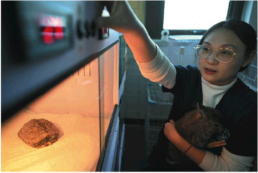 她给异宠当医生