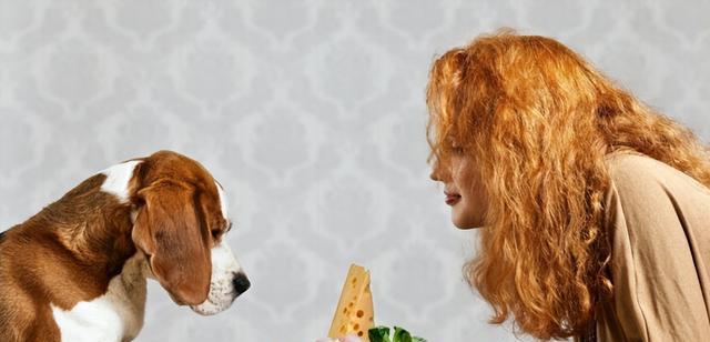 狗狗疾病的隐形杀手! 五种常见症状大揭秘，多关心你的狗狗!